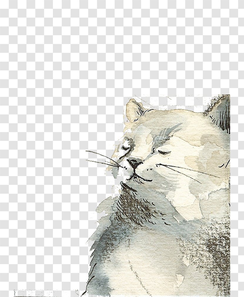 Cat Kitten Drawing Watercolor Painting Illustration - Like Mammal - White Transparent PNG