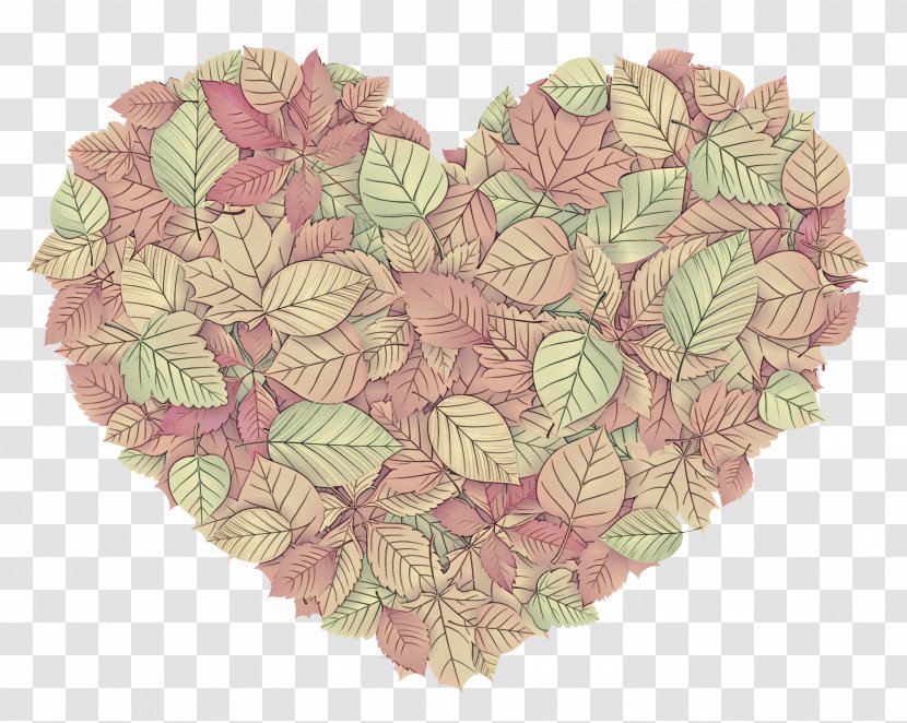 Leaf Heart Flower Pink Plant - Hydrangea - Cornales Cut Flowers Transparent PNG