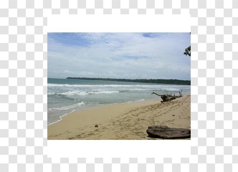 Shore Sea Beach Coast Ocean Transparent PNG