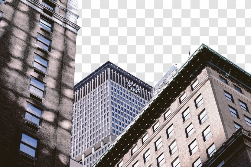 Window High-rise Building Skyscraper Stock.xchng - Metropolitan Area - City Corner Transparent PNG