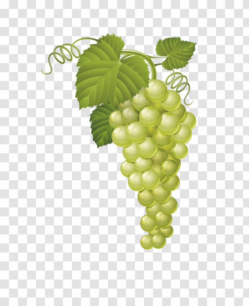 Common Grape Vine Fruit Clip Art - Creative Green Grapes Transparent PNG