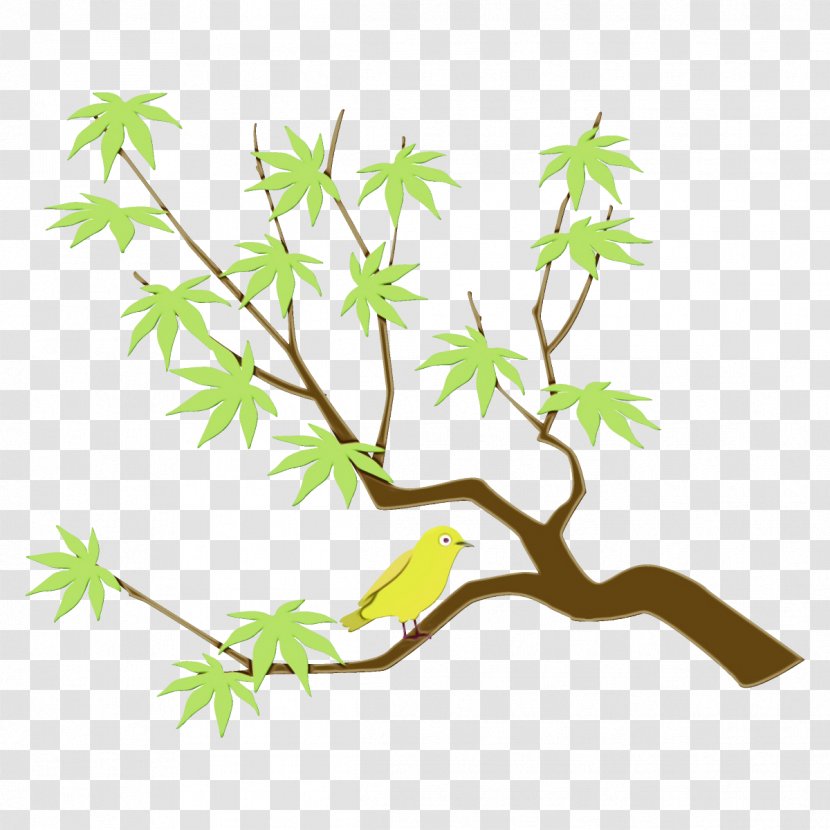 Branch Leaf Plant Tree Stem - Twig American Larch Transparent PNG