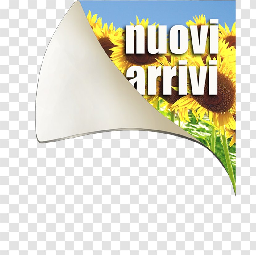 Brand - Design Transparent PNG