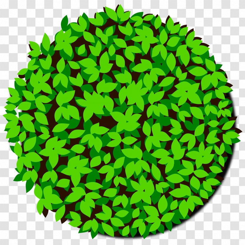 Tree Bonsai Shrub - Dots Per Inch - Top View Transparent PNG