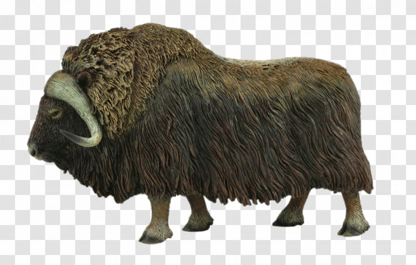 Cartoon Sheep - Souqcom - Bison Bull Transparent PNG