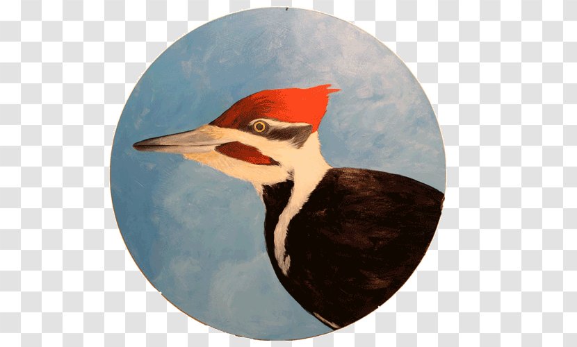 Tawatinâ Bridge Work Of Art Painting - Seabird Transparent PNG