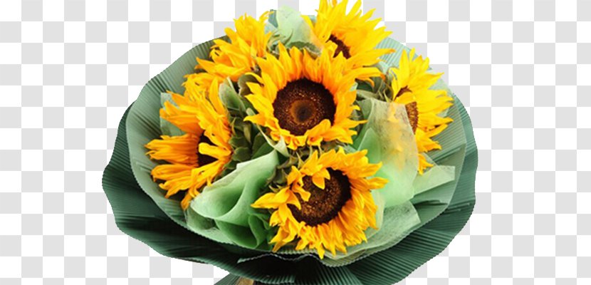 Common Sunflower Nosegay Meituan.com - Green Packaging Bouquet Transparent PNG
