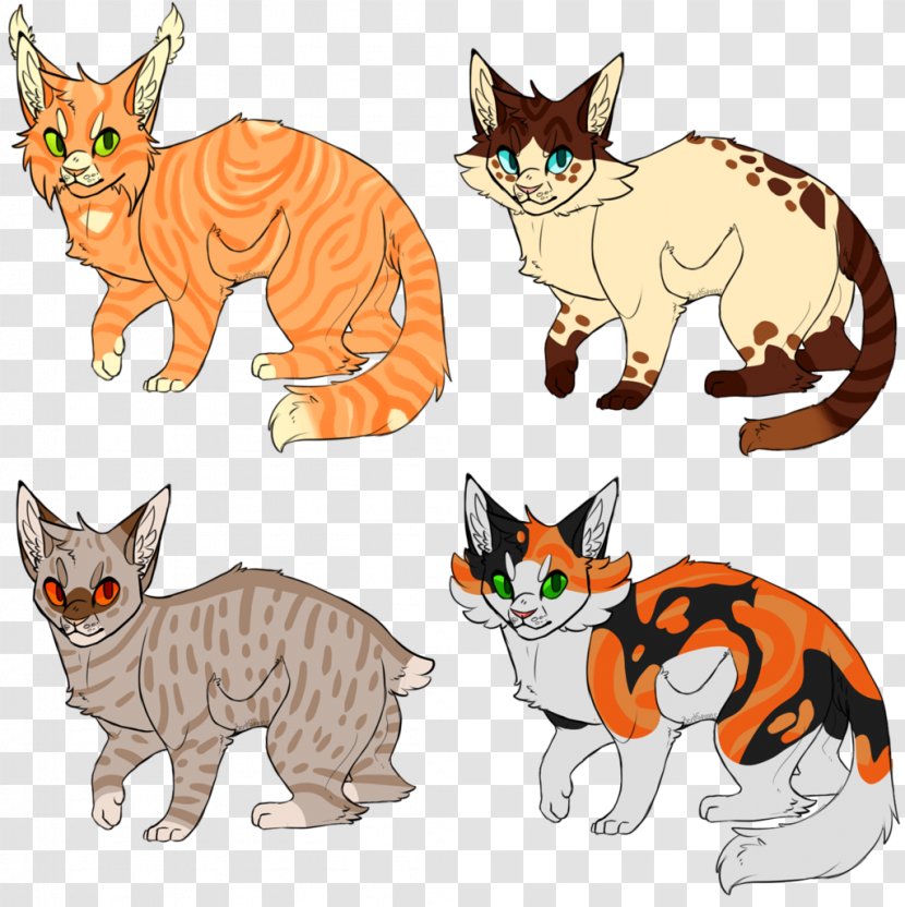 Kitten Manx Cat Tabby Wildcat Whiskers Transparent PNG