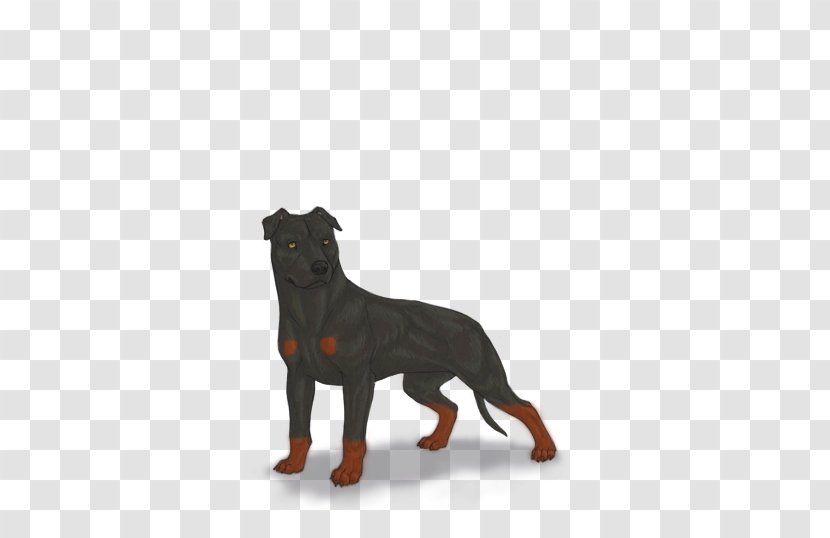 Rottweiler Puppy Dog Breed Snout - Pit Bull Transparent PNG