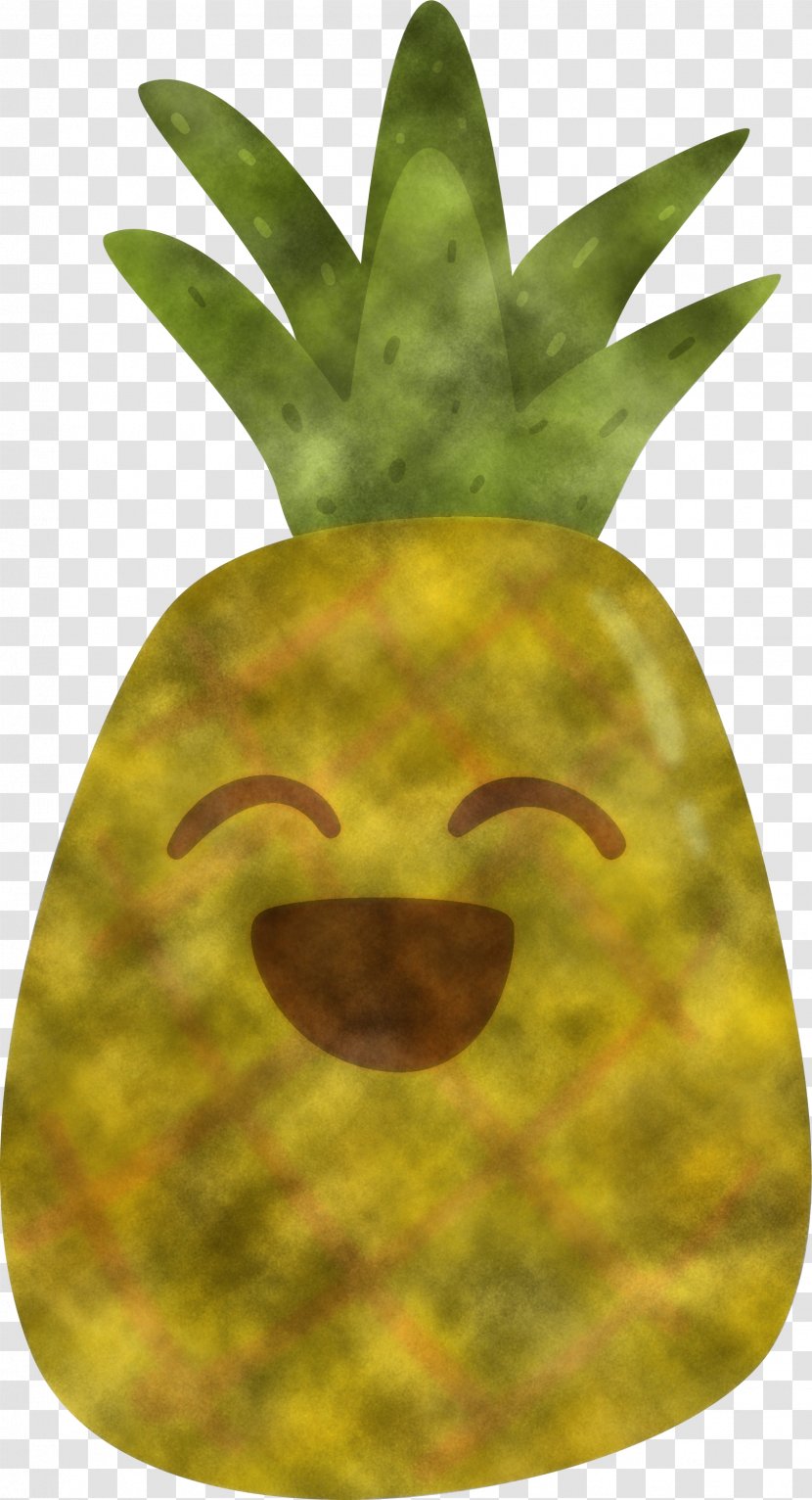Pineapple - Plant - Poales Headgear Transparent PNG
