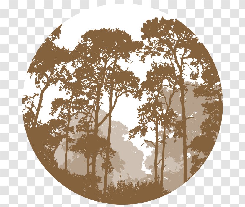 Vector Graphics Illustration Forest Landscape Silhouette - Jungle - Dishware Transparent PNG