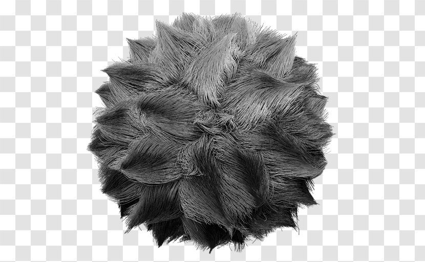 ZBrush Hair Fur Texture Mapping - Feather Transparent PNG