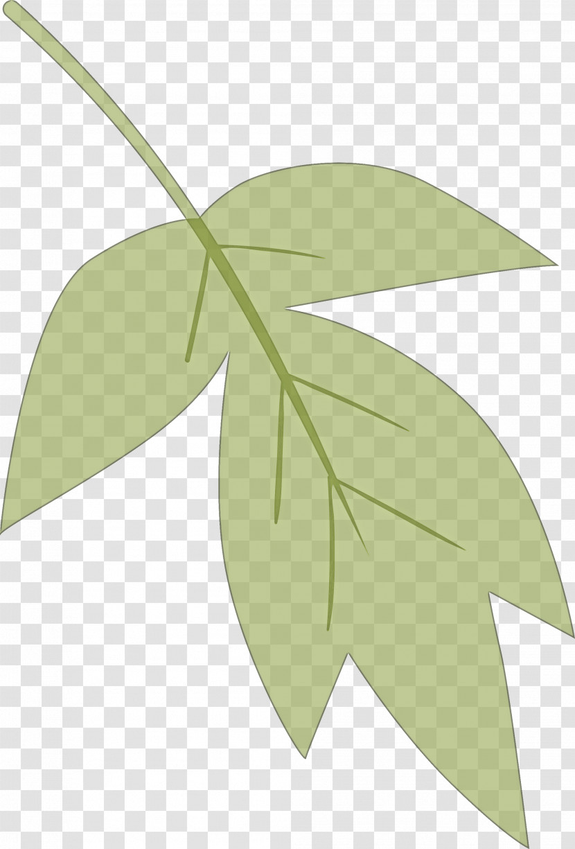 Leaf Green Plant Tree Flower Transparent PNG