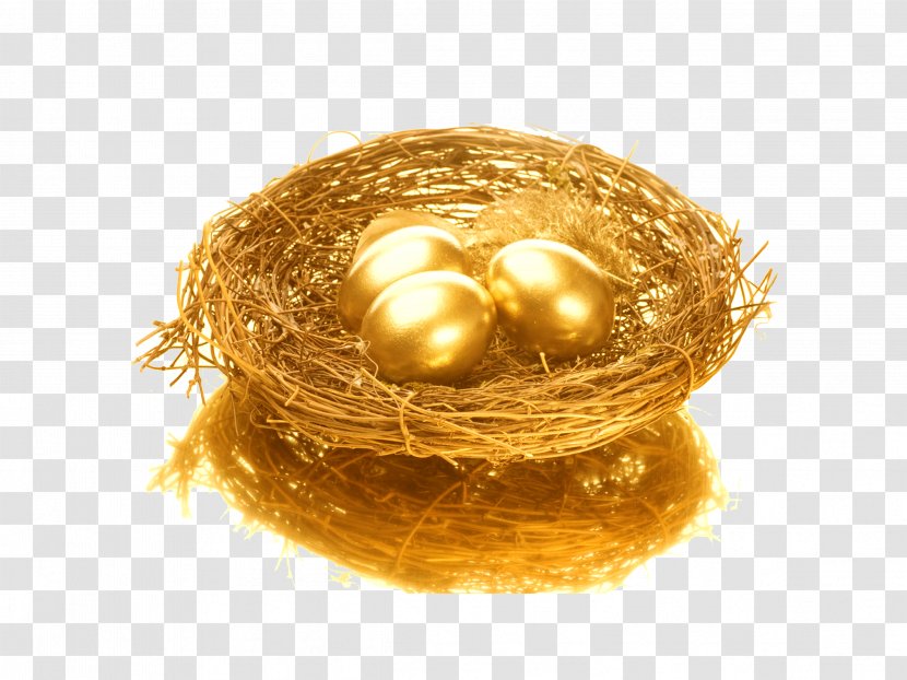 Bird Nest Egg - Golden Transparent PNG