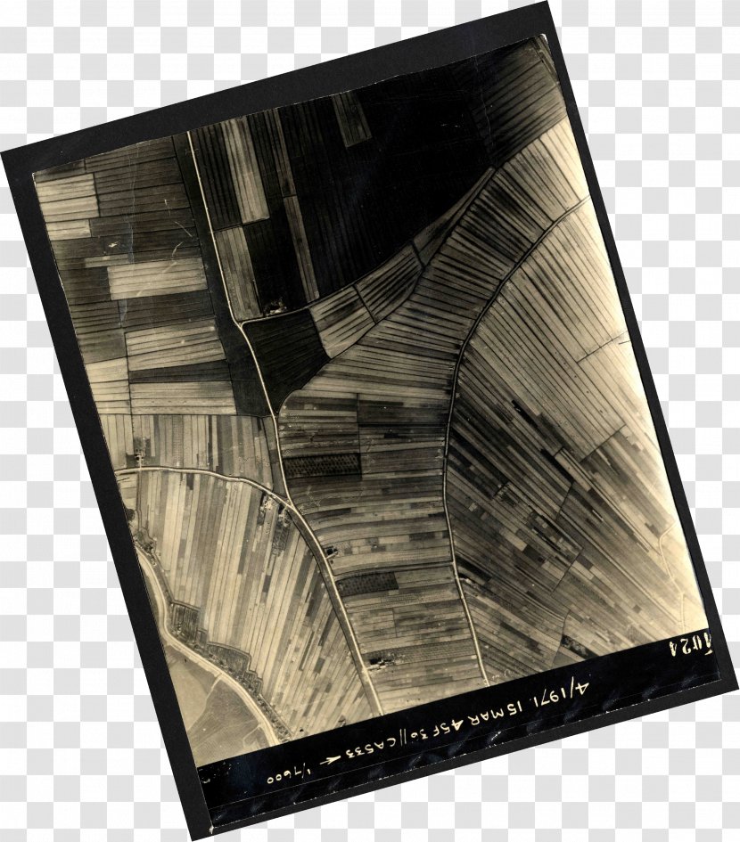 Photographic Paper Wood /m/083vt Photography Transparent PNG