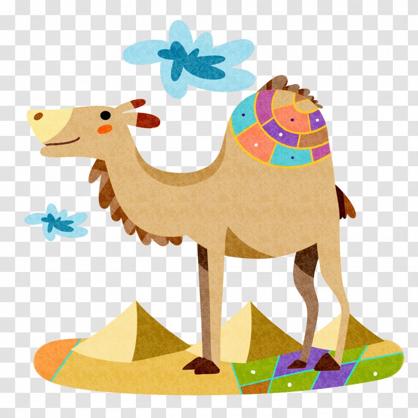 Camel Horse Cartoon - Arabian - Animal Transparent PNG