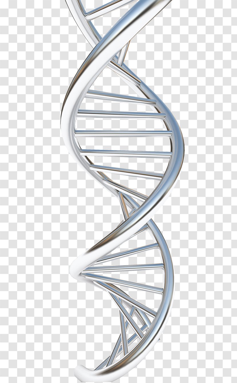 Nucleic Acid Structure DNA Molecular Of Acids: A For Deoxyribose Drawing Genetic Recombination - Royaltyfree Transparent PNG