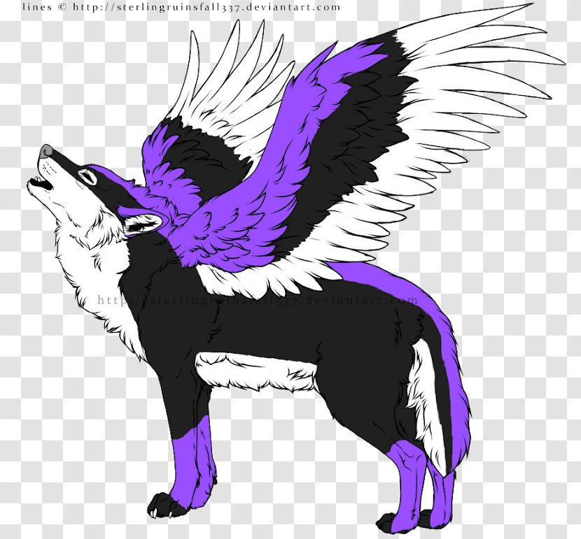 Canidae Black Wolf Lion Color - Carnivoran Transparent PNG