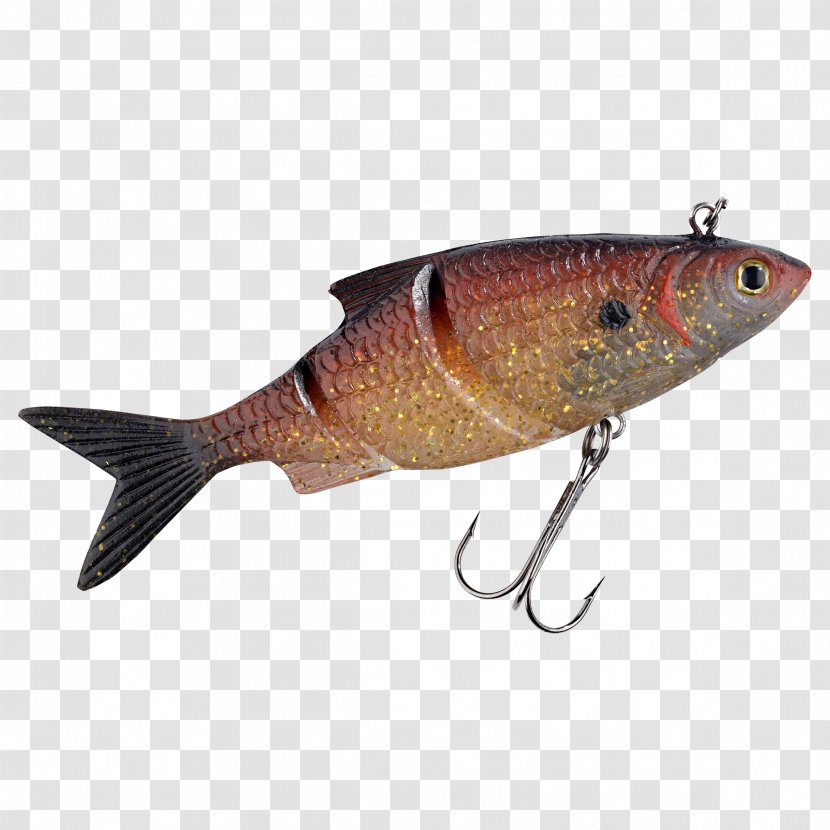 Spoon Lure Fishing Baits & Lures Gummifisch Common Roach European Perch - Water Transparent PNG