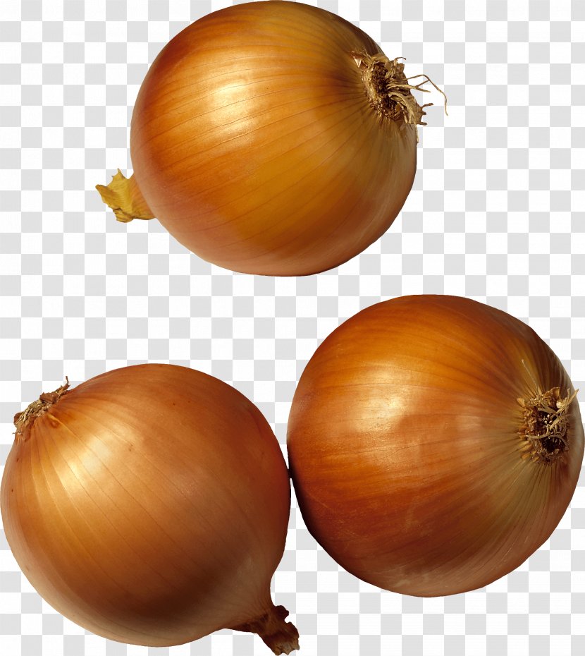 Potato Onion Shallot Vegetable - Yellow - Image Transparent PNG