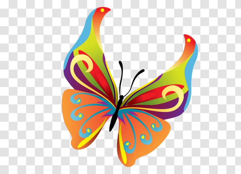 Butterfly Clip Art - Insect Transparent PNG