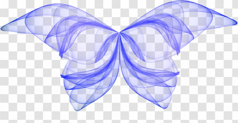 Symmetry Silk - Moths And Butterflies - Wings Envelope Transparent PNG