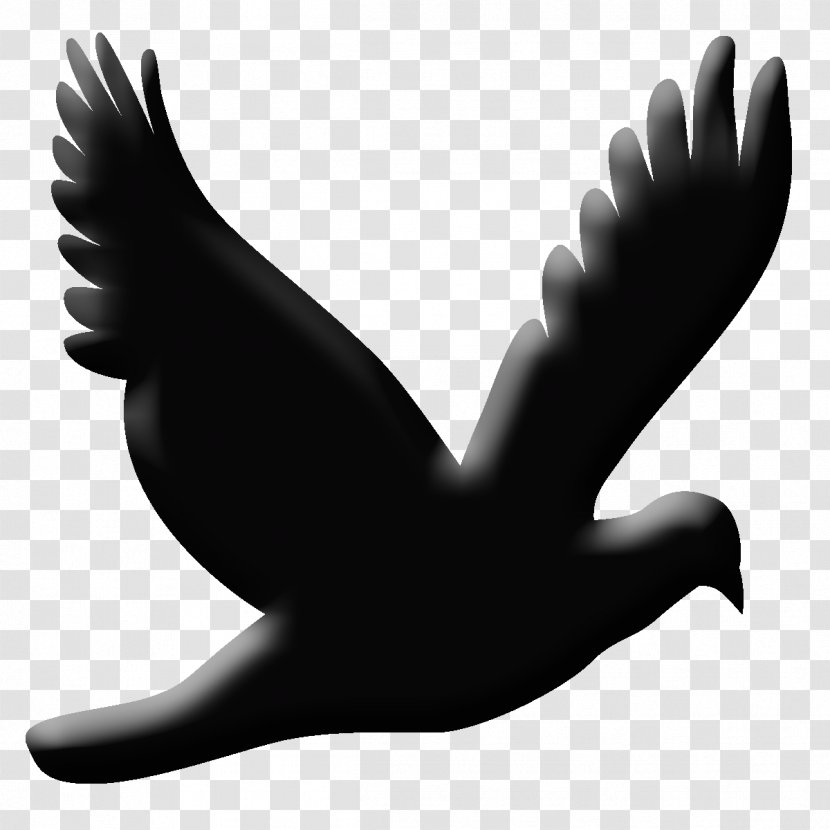 Silhouette Bird Design Beak Image - Black Transparent PNG