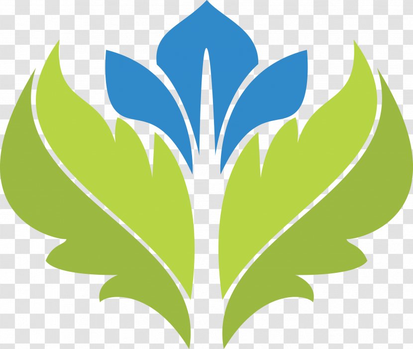 Leaf Petal Symbol Plant Stem Transparent PNG
