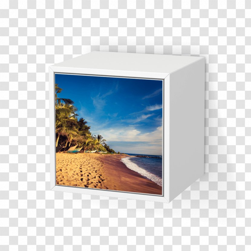 Colombo Sigiriya Negombo Kandy Package Tour - Beach - Travel Transparent PNG