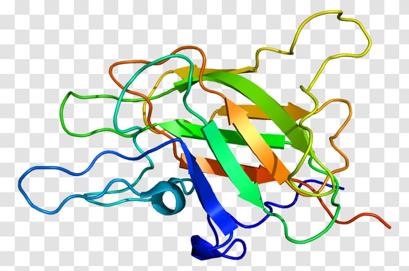 Factor VIII Coagulation V Leiden Thrombophilia - Silhouette - Tree Transparent PNG