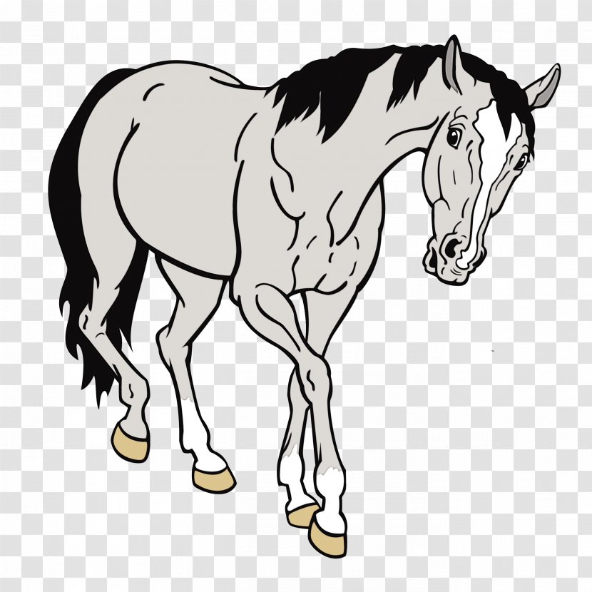 Horse Cartoon - Wildlife - Coloring Book Riding Instructor Transparent PNG