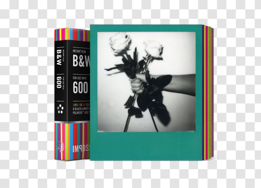 Photographic Film Instant Camera Color Motion Picture Polaroid Originals Transparent PNG
