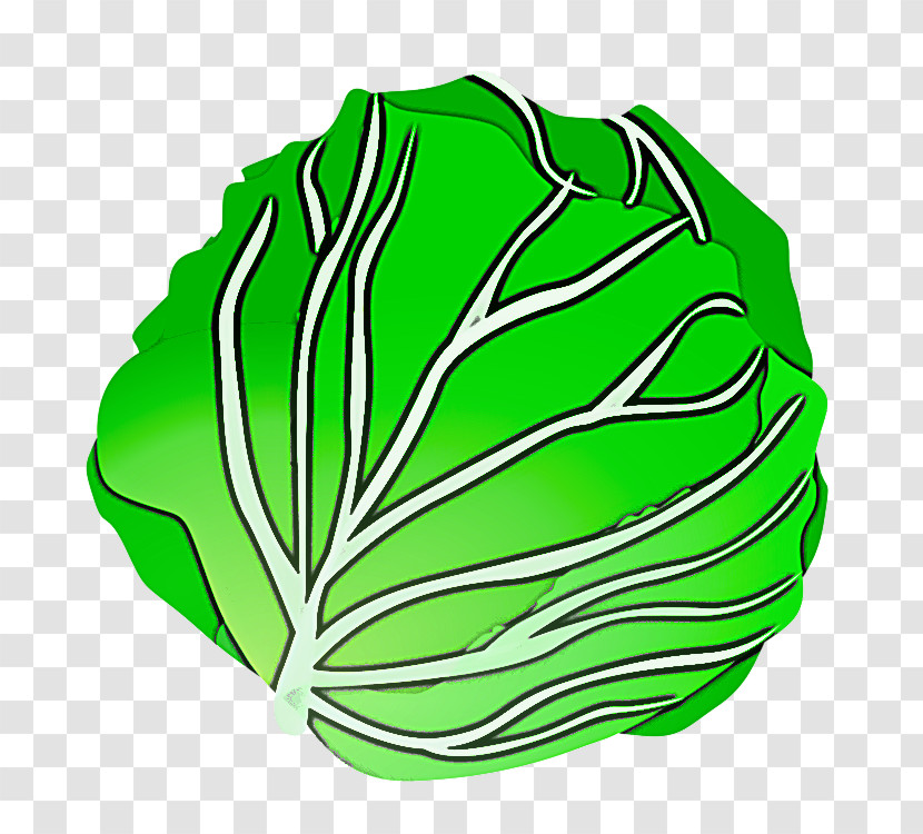Green Leaf Cabbage Vegetable Leaf Vegetable Transparent PNG