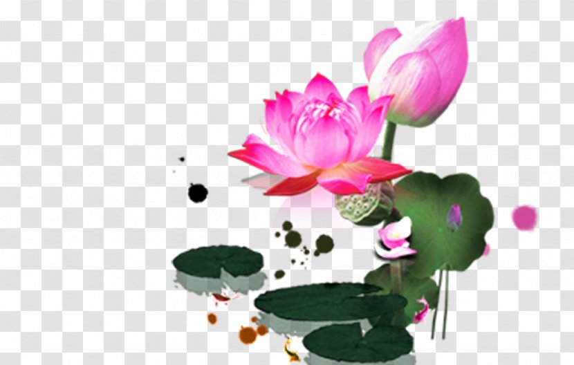 Ink Wash Painting Chinese Poster - Floristry - Lotus Transparent PNG