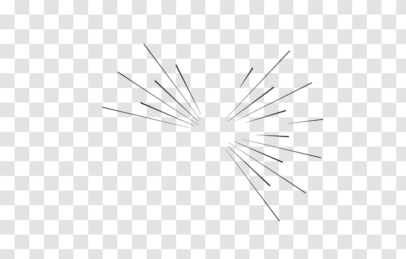 Line Point Angle - Wing Transparent PNG