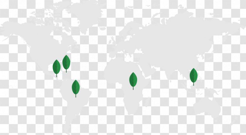 World Map Desktop Wallpaper - Tree - Soursop Juice Transparent PNG