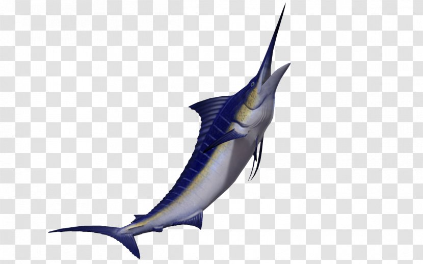 Swordfish Marlin 3D Computer Graphics - Animation - 3d Animals Marine Creative Transparent PNG