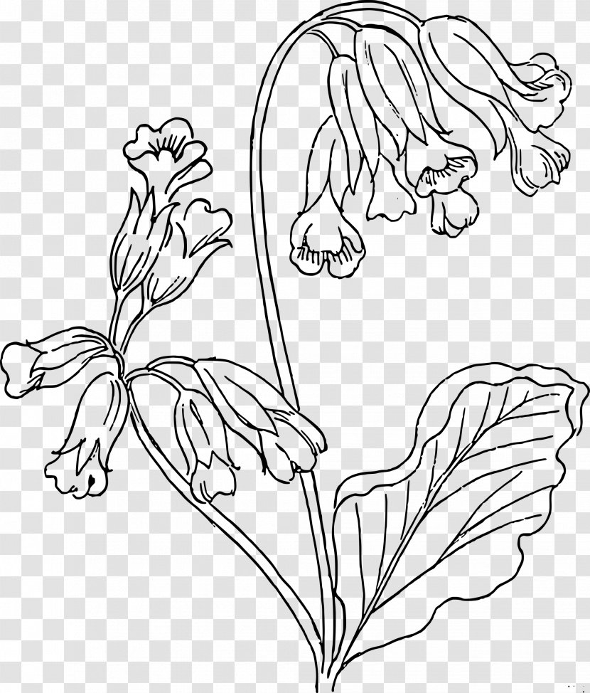 Drawing Cowslip Clip Art - Monochrome - Strawberry Basket Transparent PNG