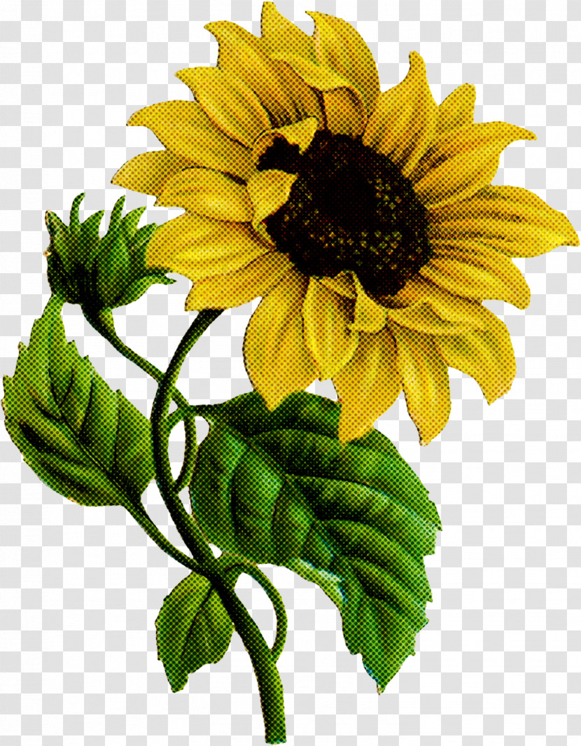 Artificial Flower Transparent PNG