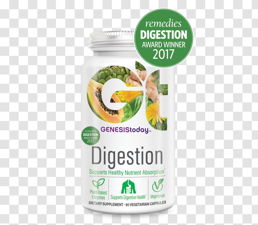 Digestion Prebiotic Gastrointestinal Tract Superfood - Herb - Plantbased Diet Transparent PNG