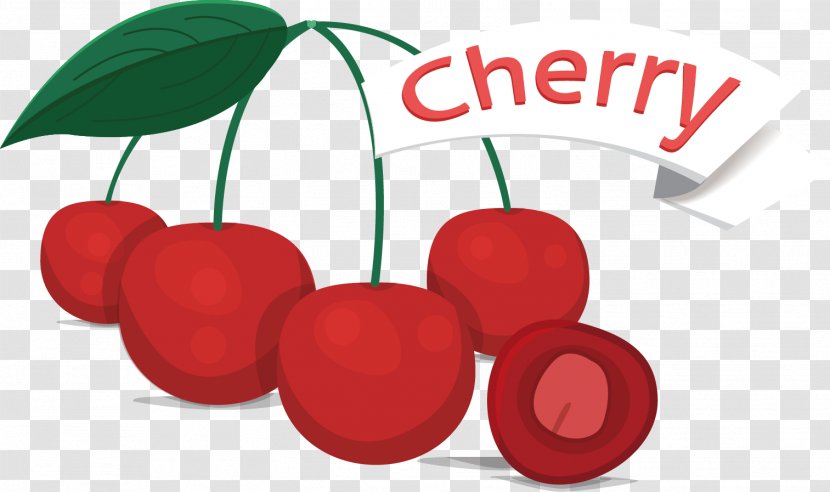 Cherry Fruit Clip Art - Peach Transparent PNG
