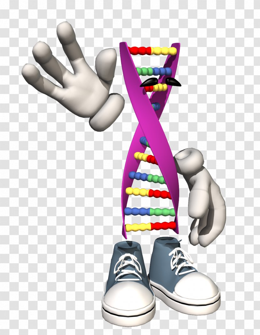 Human Genome Project DNA Nucleic Acid Double Helix Cell - Gene - All The Way Peers Transparent PNG