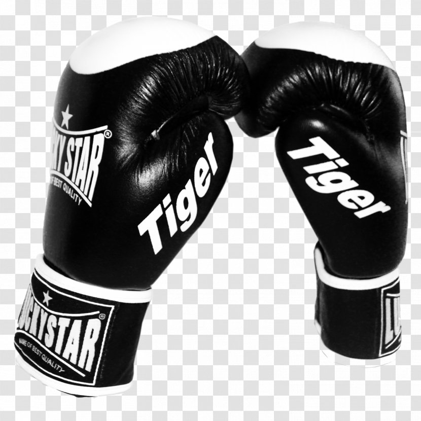 Boxing Glove Sparring Training - Gloves Transparent PNG