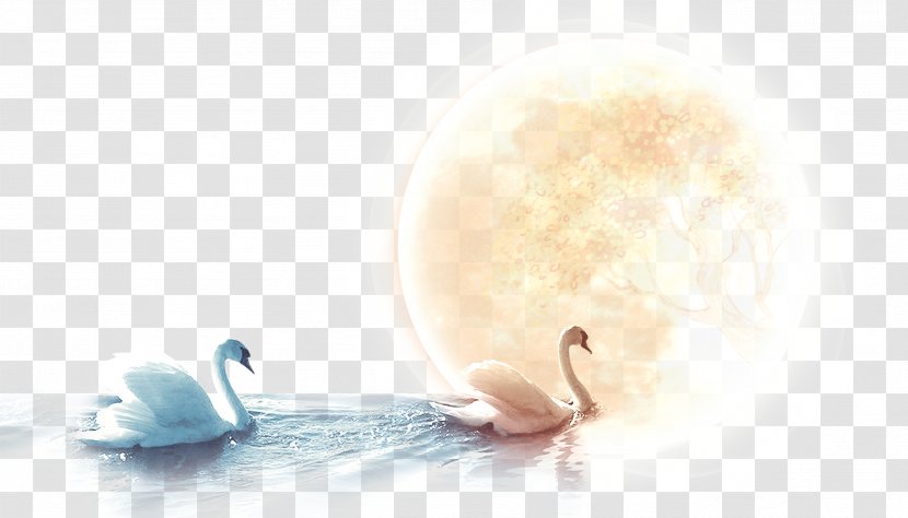 Cygnini Mid-Autumn Festival - Moon - Swan Under The Transparent PNG