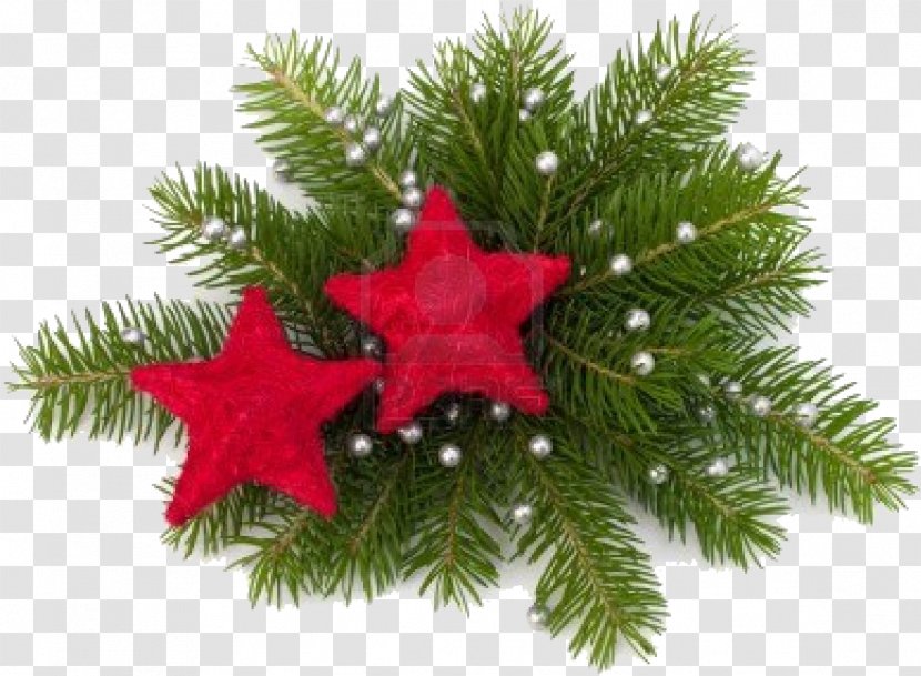 Christmas Decoration Ornament Gift - Tree Transparent PNG