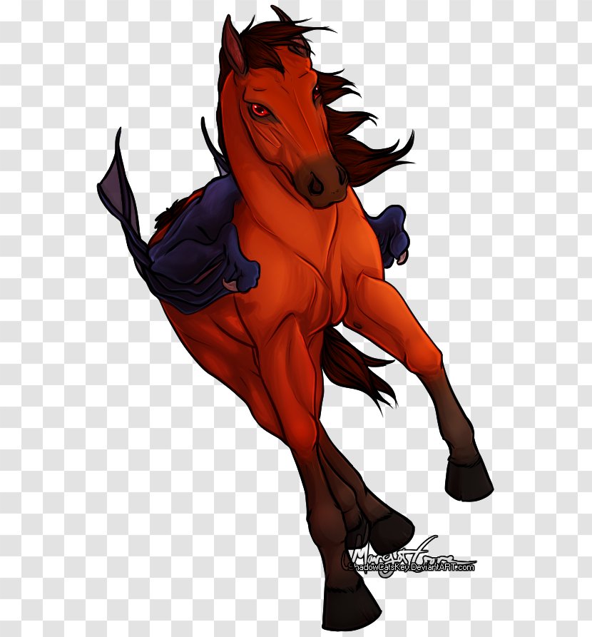 Mustang Canidae Pony Mane Transparent PNG