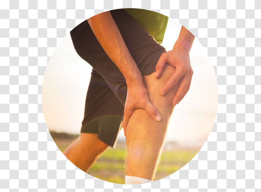 Knee Pain Exercise Arthritis Physical Therapy Glucosamine - Watercolor Transparent PNG