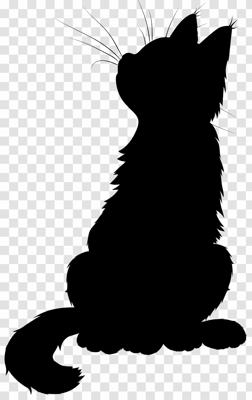 Whiskers Black Cat Dodo Dog - Tail - Mammal Transparent PNG