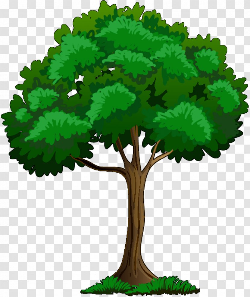 Clip Art Vector Graphics Illustration Tree - Plant Stem Transparent PNG