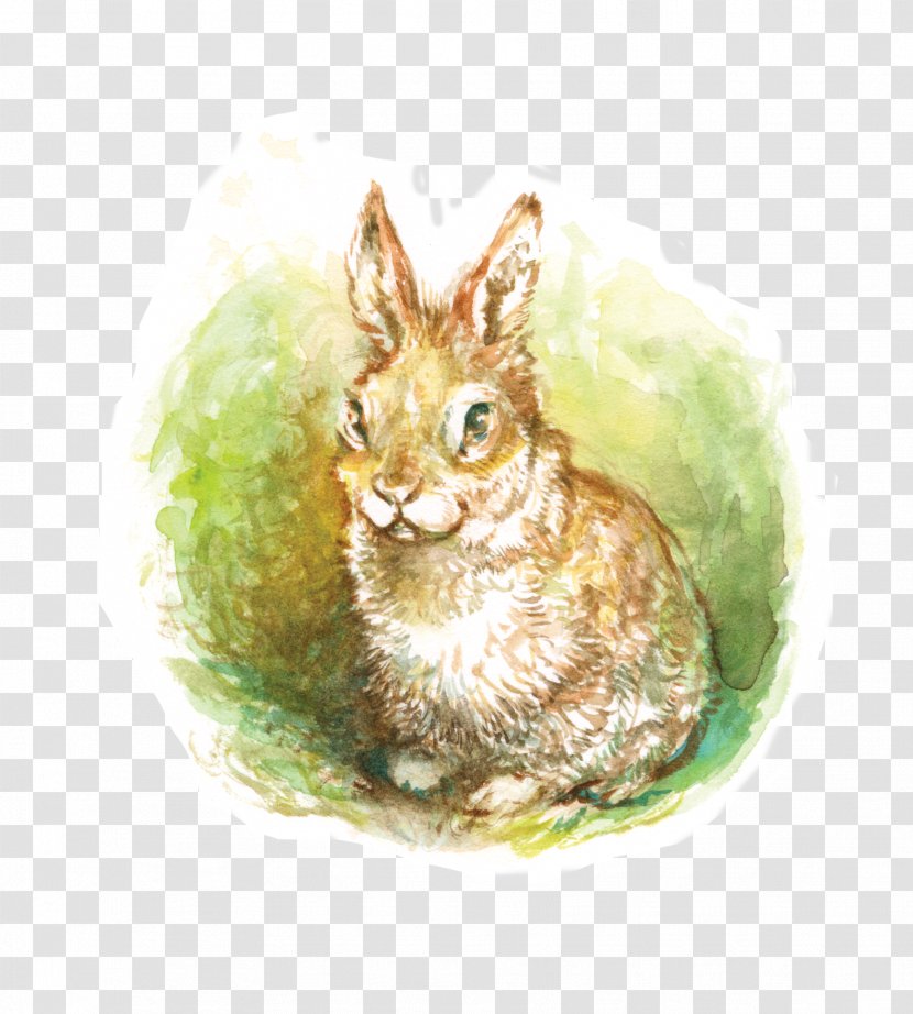 Domestic Rabbit Watercolor Painting Hare Watercolor: Animals - Rabbits And Hares - Once Upon A Time Fairy Tale Transparent PNG